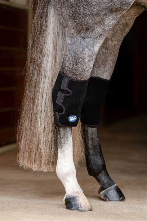 Ice Horse Hock Wrap Mackinnon - Therapy | Health Care | Equine