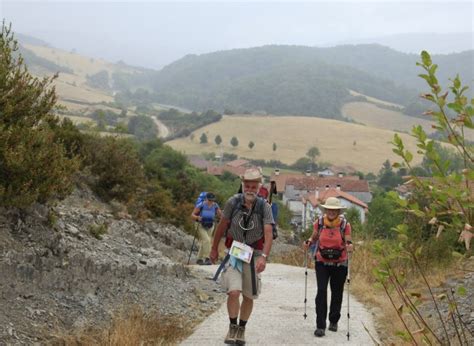 Three Camino tour operators at your service - Great Walks