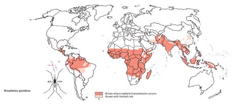 IAMAT | Malaria