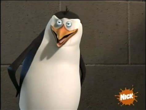 rico - Rico the Penguin Photo (32195321) - Fanpop