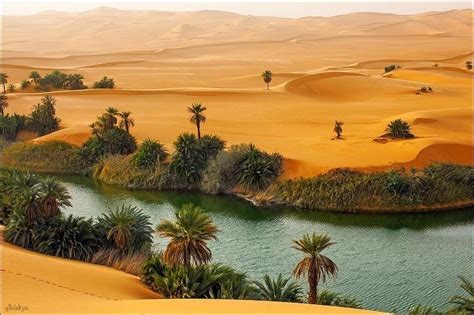 🔥 An oasis in the Sahara Desert - Oum al-Maa Lake, Libya : r/NatureIsFuckingLit