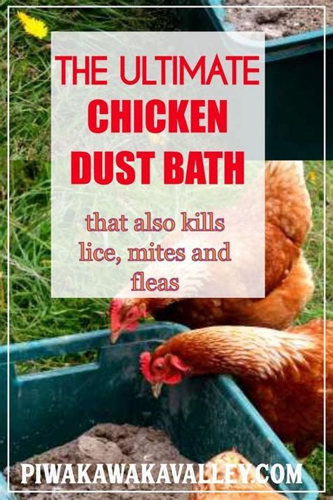 Keep your Chickens Healthy and Happy with the ultimate chicken dust bath recipe. DIY ...