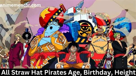 Pre And Post Timeskip All Straw Hat Pirates Age, Birthday, Height, And More