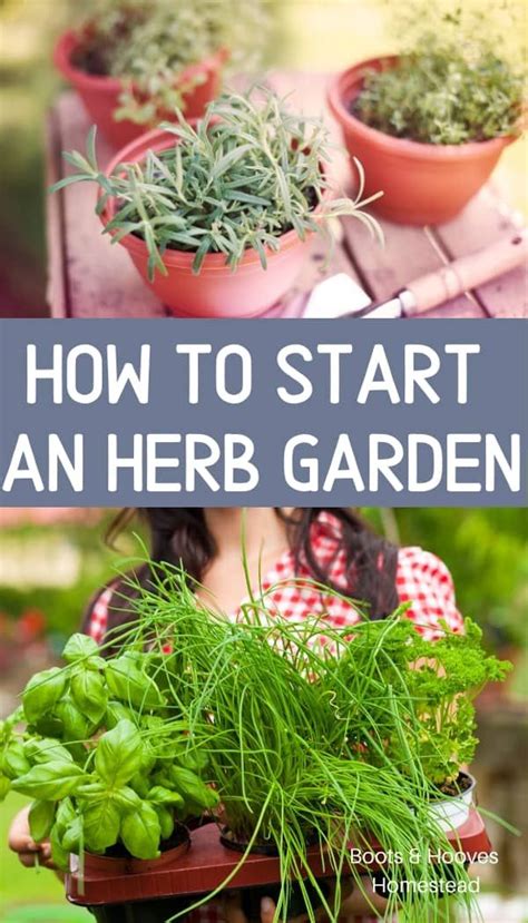 Herb Gardening for Beginners | Gardening for beginners, Outdoor herb ...