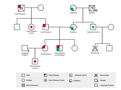 Free Editable Genogram Examples & Templates | Edraw