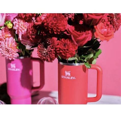 Stanley Valentine’s Day Red Tumbler 40 Oz (Target Exclusive) | eBay