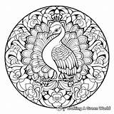 Peacock Mandala Coloring Pages  Free & Printable sketch template
