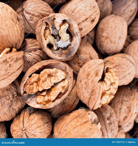 Dry Nuts and Nutshells Closeup Stock Image - Image of open, natural: 17827121