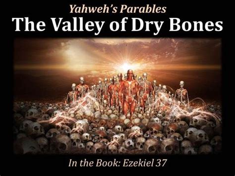 Valley of dry bones, Ancient israelites, Dry bones