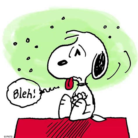 1497 best Snoopy images on Pinterest | Activities, Animated cartoons and Animation