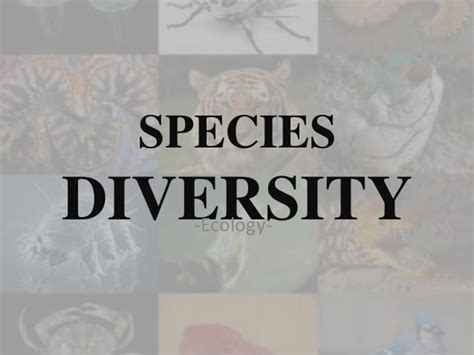 Species diversity