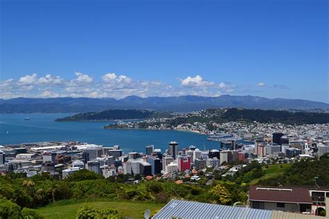 Wellington City Sightseeing Small-Group Tour 2024