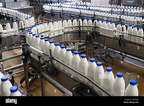 Dairy factory. Milk line production Stock Photo - Alamy