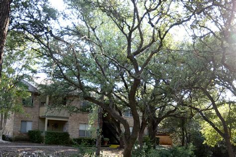 Photos | Bent Tree Apartments in Austin