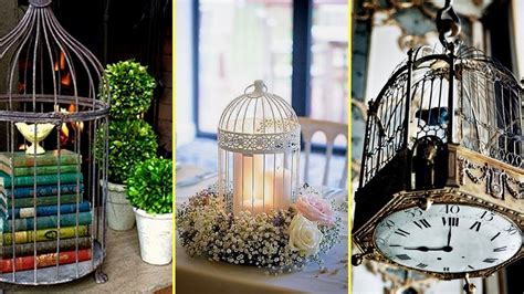 Gold Bird Cage As Decor