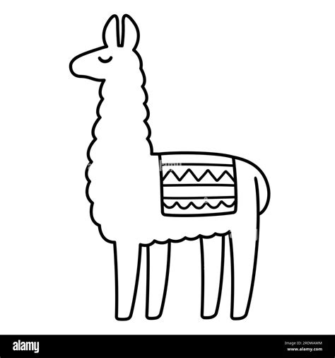 Simple cartoon llama drawing, black and white line icon. Cute vector ...