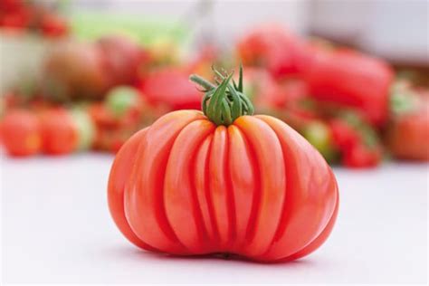 The Mushroom Basket Tomato - Minneopa Orchards