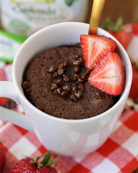 Chocolate Mug Cake Recipe | Lil' Luna