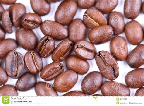 Coffee beans close-up. stock image. Image of drink, cafe - 31799381