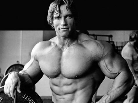 [100+] Schwarzenegger Pictures | Wallpapers.com