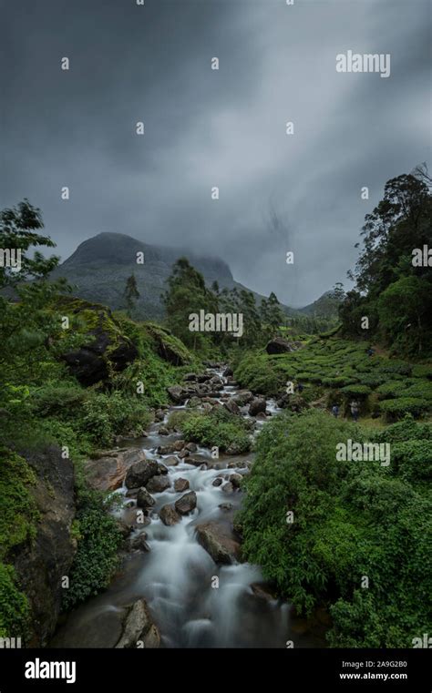 waterfall at the base of Eravikulam park in Munnar,Kerala,India Stock Photo - Alamy