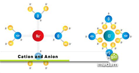 Cation And Anion