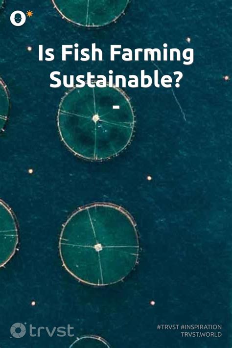 Is Fish Farming Sustainable? All About Eco-Friendly Fish Farming | Fish farming, Sustainability ...