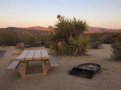 Joshua Tree Camping: The Full Guide to Camping the Boulder Playground