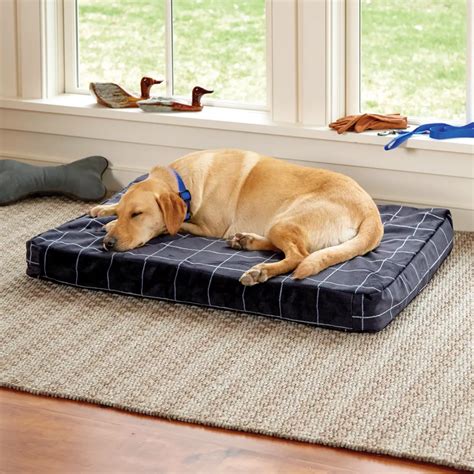 How to Choose the Best Memory Foam Dog Bed for Your Pet – Zackspace