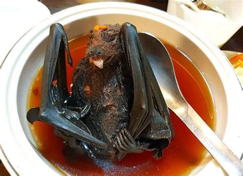 17 Bizarre and Weird Foods in China That People Love to Eat