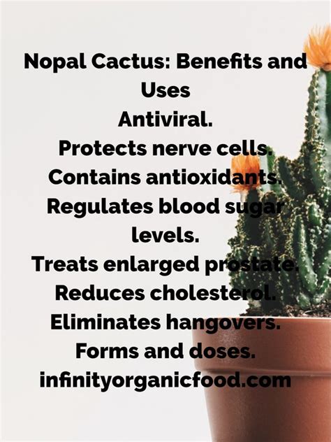 Nopal Cactus: Benefits and Uses by infinity organic food in 2020 ...