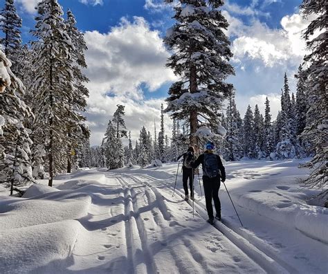 10 of the Best Winter Activities in Alberta - Hike Bike Travel