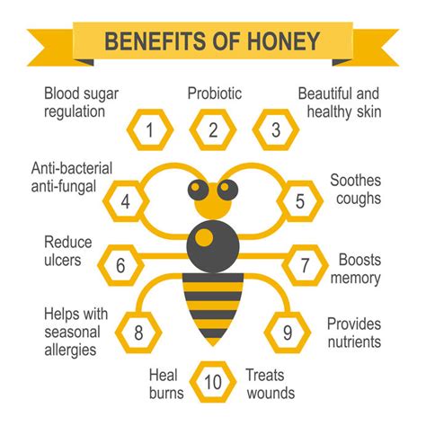 How to Celebrate Honey Bees Today by The Nutrition Experts - NOAH