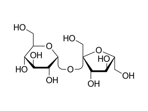 Balanced Chemical Equation For Sucrose And Water - Tessshebaylo