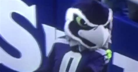 Blitz, the Seahawks mascot, is just your run-of-the-mill, happy-go-lucky, lovable mascot. He ...