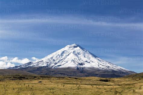 South America, Ecuador, Andes Volcano Cotopaxi, Cotopaxi National Park ...