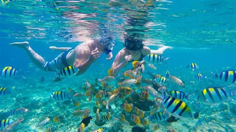 Ingin Merasakan Pengalaman Snorkeling Terbaik di kepulauan Seribu