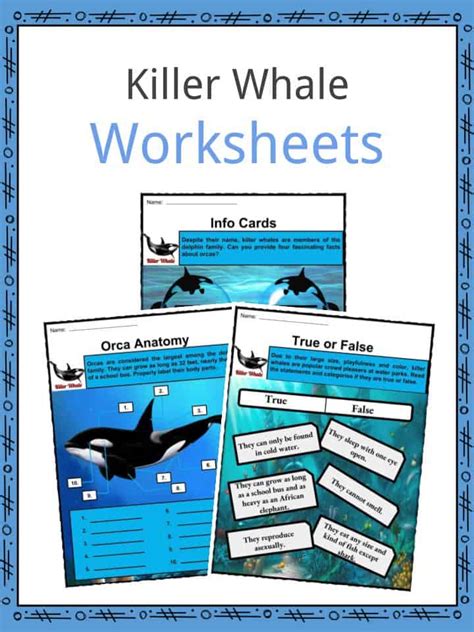 Killer Whale, Orca Worksheets for Kids | Features, Pop Culture & More!