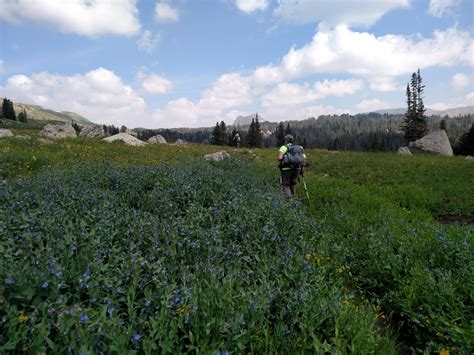 Beartooth Mountains Hiking Tour | Timberline Adventures