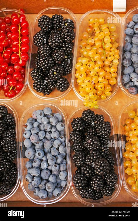 Several types of berries on display at the local market in Tuscany ...