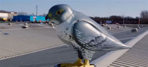 Robotic birds are the (ridiculously expensive) modern-day scarecrows – EEJournal