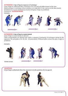 My Personal Thoughts: NEW JUDO RULES TRY SOMBO