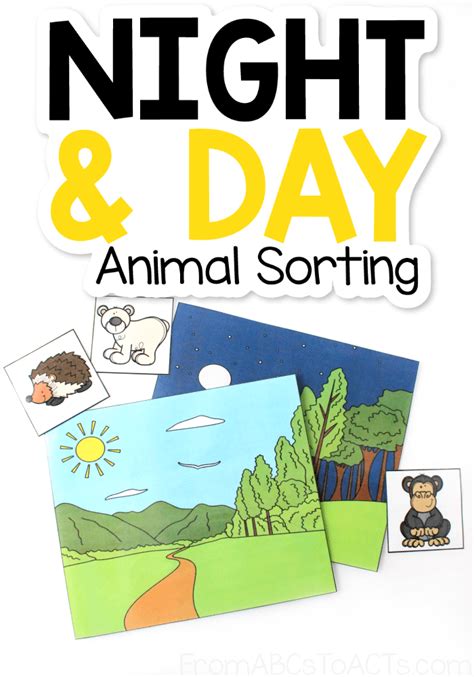 Night and Day Animal Sorting - From ABCs to ACTs