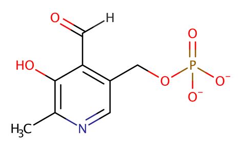 M-CSA Mechanism and Catalytic Site Atlas