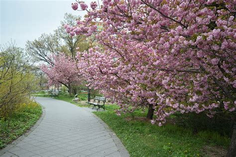 Queens Botanical Garden | Queens, NY 11355