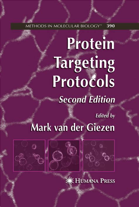 (PDF) Periplasmic Targeting of Recombinant Proteins in Escherichia coli