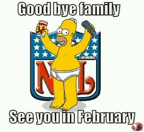 All I need on Sundays is NFL, beer, and the tv remote. | Fantasy football humor, Nfl funny, Humor