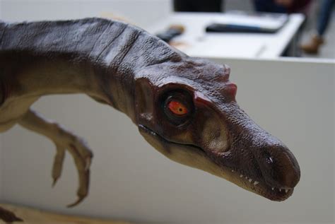 Life Size Velociraptor Mongoliensis restoration — Stan Winston School of Character Arts Forums