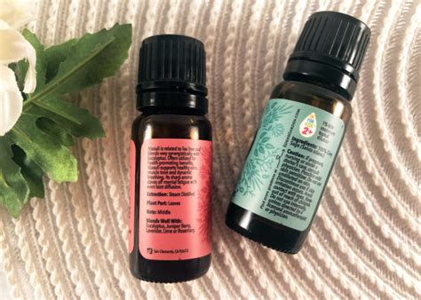 Edens Garden Essential Oils Review – Is EG a Good Brand?