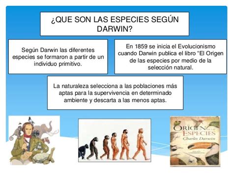 EVOLUCION DE LAS ESPECIES